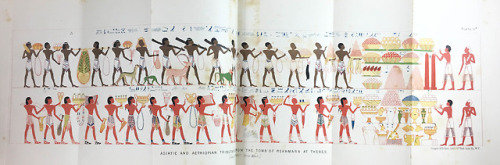 These illustrations come from a book on Egypt written by a British man in 1878. It discusses ancient