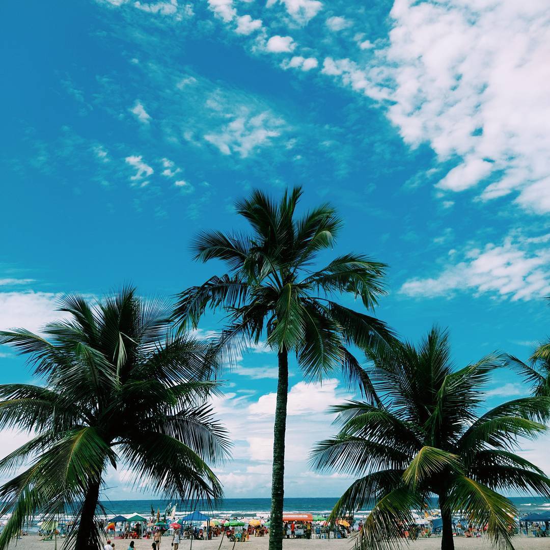 Tropical