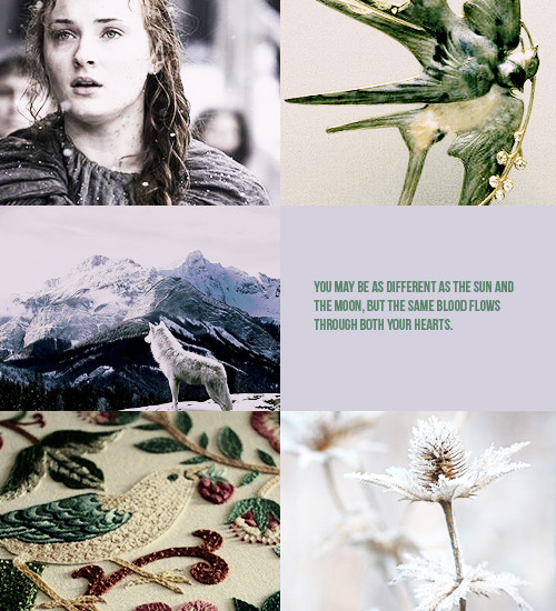 barnowlsandbirch:| Sansa has a wolf again.