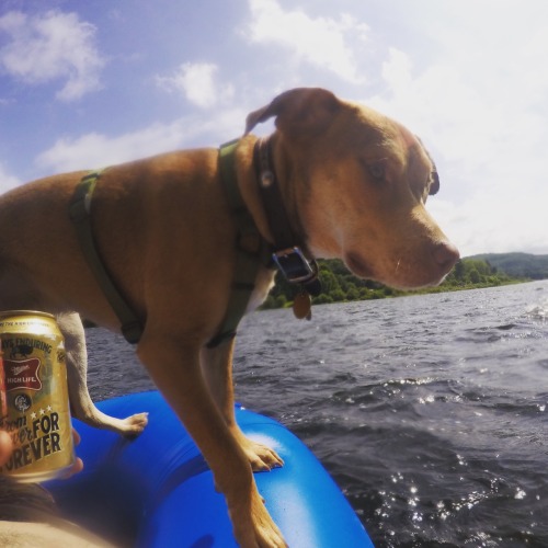 The last few weeks have been a blast. Cheers to summertime, dogs and great friends.