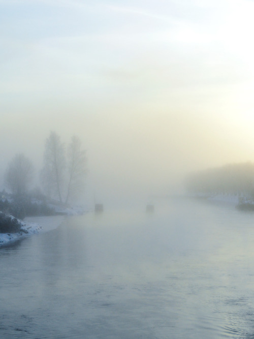 Suddenly December, winter and another foggy morning. The air is much colder than the open water so i