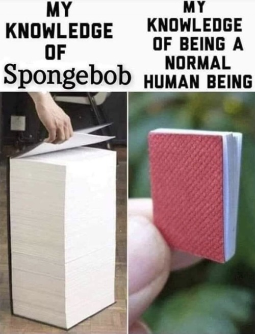 dankmemeuniversity: