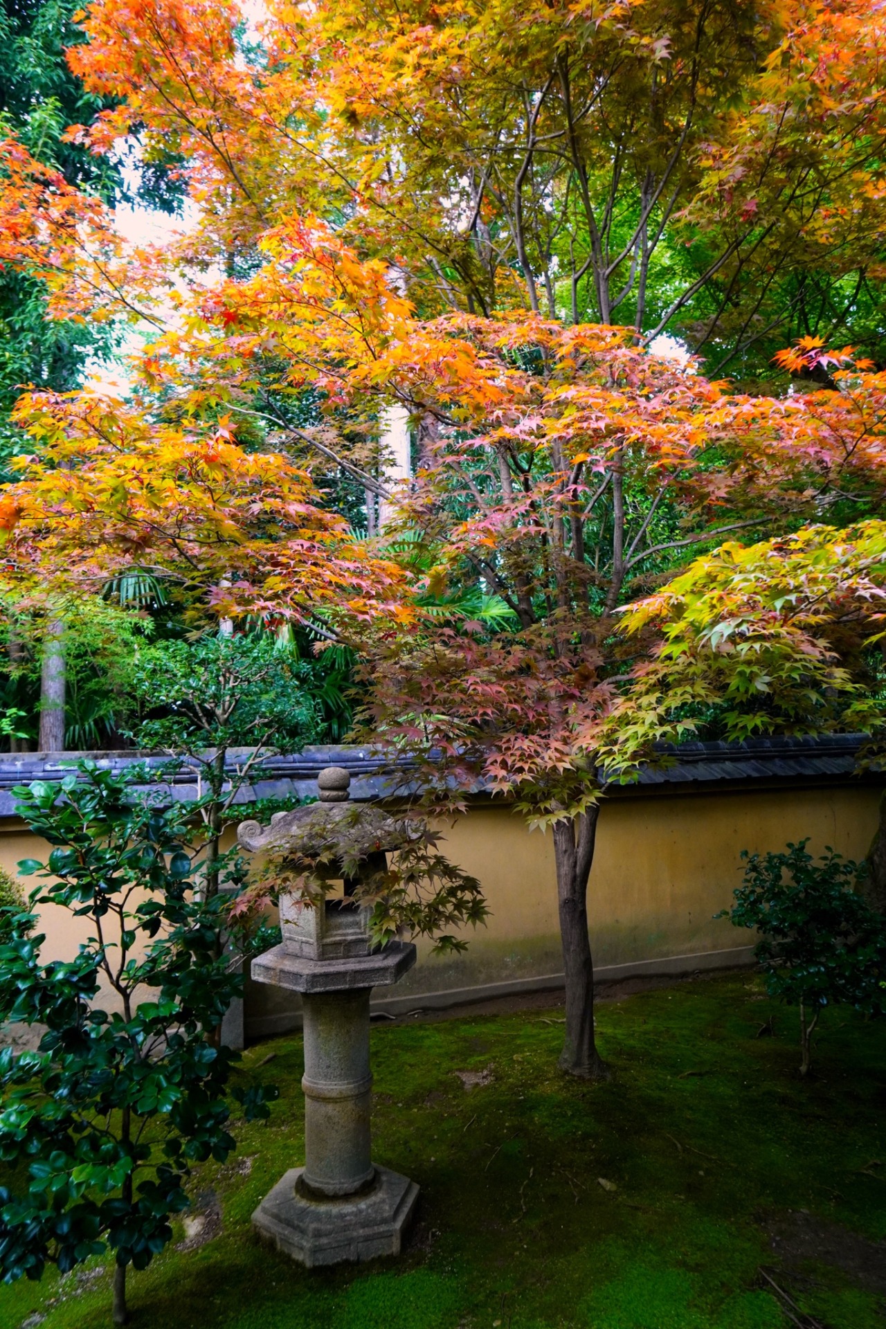 chitaka45:京都　大徳寺　興臨院kyoto daitokuji korin-in temple