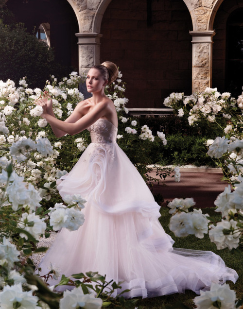 eclect-dissect: Steven KhalilBridal Collection 2012