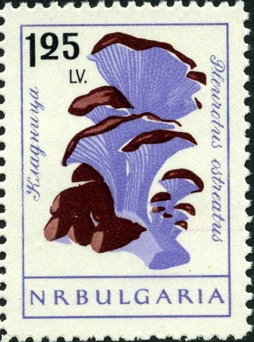 stamp-it-to-me:two 1961 Bulgarian stamps from a series on mushrooms