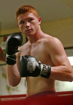 gingers-snaps:  Saúl “El Canelo” Álvarez