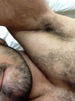 hotbears:  http://hotbears.tumblr.com/