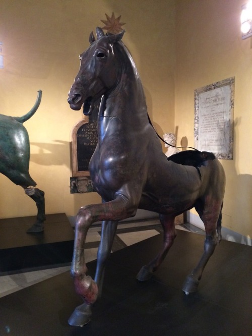 ancientanimalart:Bronze horse from Vicolo delle Palme5th-4th century BCEGreekExcavations in Trasteve