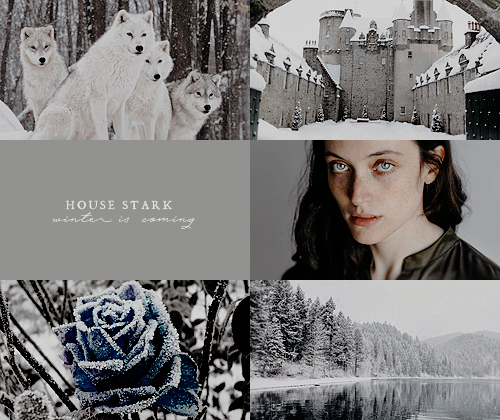 sorrybaaae: GREAT HOUSES OF WESTEROS If you like my work, please, consider supporting me as I need t