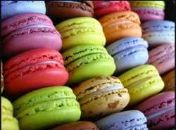 wolfosbane:  Am I the only one who thought macaroons looked like pretty patties?