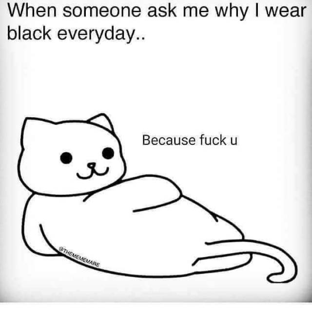 cat laying when someone ask me why I wear black every day because fuck you goth metal rock meme memes