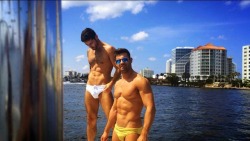 greenspeedos:  styling and profling 