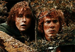 boromirs:  For the time will soon come when Hobbits will shape the fortunes of