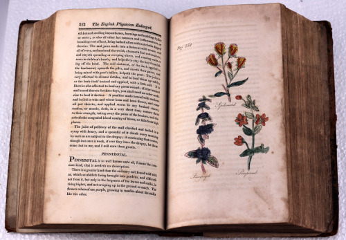 michaelmoonsbookshop:worn early 19th century Herbal with 50 hand coloured engraved plates Printed in