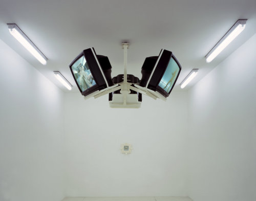 voltra:Matthew Barney, Drawing Restraint 7, 1993