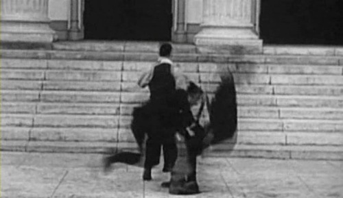 Buster Keaton against the police.PURE.FUCKING.POETRY