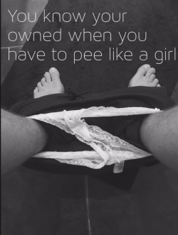 cuck4msc:  So true!……and i do pee sitting down like a good princess!