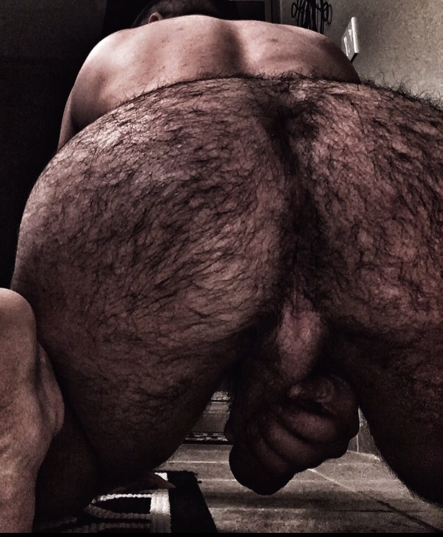 cumbucketsluts:  ruckusdog:  cobycay:  Call in @ruckusdog   Look like a dog and you’ll