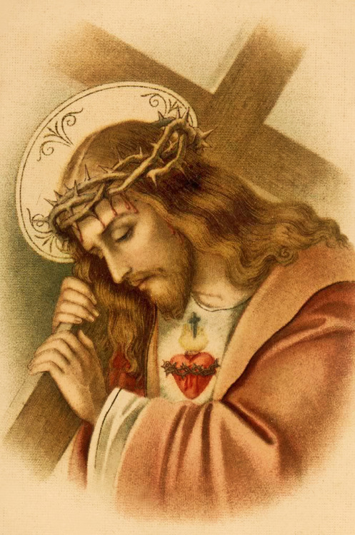 catholicsoul:Oh, look at him, and love him; and if his great worth move you not, at least let these 