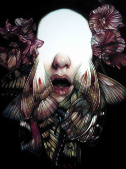 pixography:  Marco Mazzoni