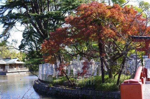 令和２年１１月２７日（土）紅葉を求めて北鎌倉駅から鎌倉駅へまだちょっと早い状況昨年一昨年と台風被害（塩害）で綺麗な紅葉は見られなかったため今年は期待していたが、あまり綺麗な紅葉にはならない様子ピークは