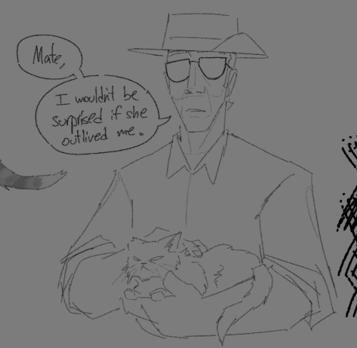 @iaminsideyourwalls And I Were Up At 2 Am And With Our Powers Combined We Made An Oc- Snipers Cat