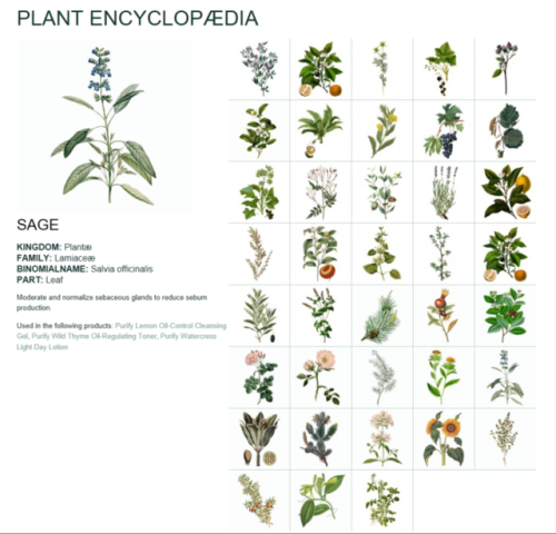 methlake:Plant encyclopedia, Sage.