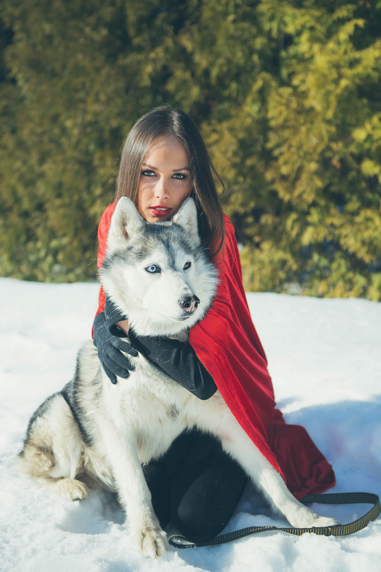 amazing-reality: Girl and Husky by Светлана Никульшина
