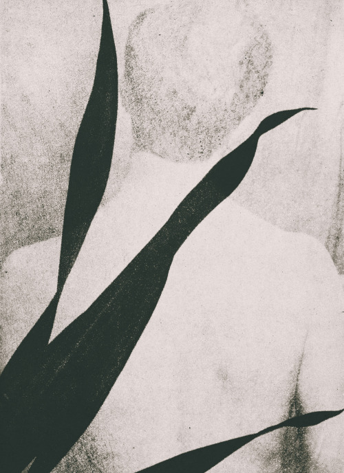 zynyz: Melih Dönmezer