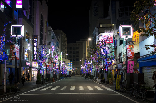 Christmas lights, Kichijoji