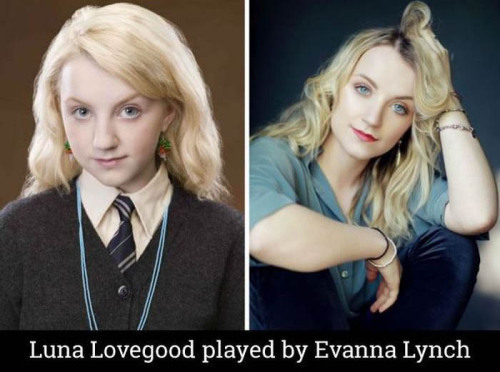 pr1nceshawn: Harry Potter cast members: Then and Now.