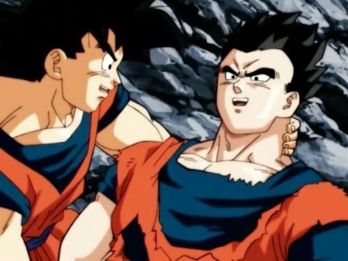 Now we need a Gohan meme :P I&rsquo;m really surprised that Gohan has won, I’m a fan 