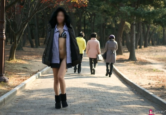 노팬으로 가을 소풍 떠나는 소라넷 노출녀