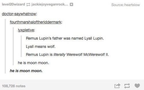 ungratefullittleshit: Times Tumblr Raised Serious Questions About “Harry Potter”