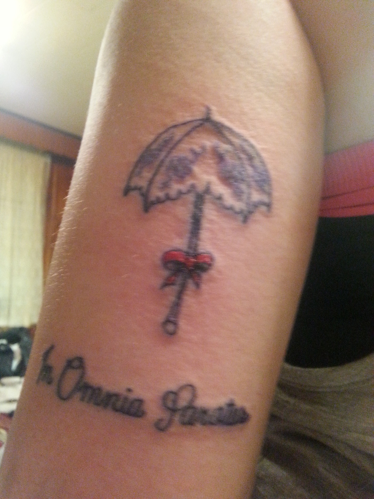 In Omnia Paratus Tattoo Ribs In Omnia Paratus Tattoo Ribs
