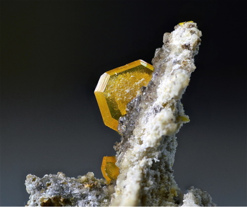 Minerals: WulfeniteA lead molybdenite mineral with the formula PbMoO4, wulfenite is typically found 