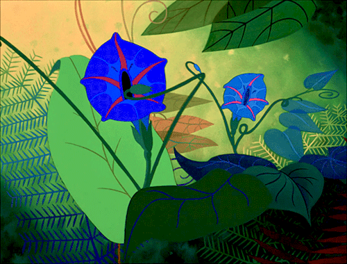 get up in the Morning Glories