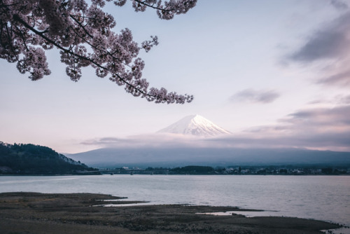 takashiyasui:Lake Kawaguchi at dusk