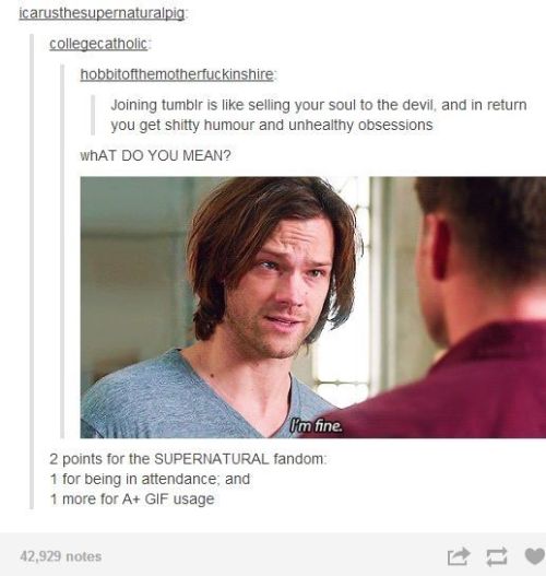 jiericho:  How Supernatural fandom takes over tumblr posts with relevant gifs PART 2
