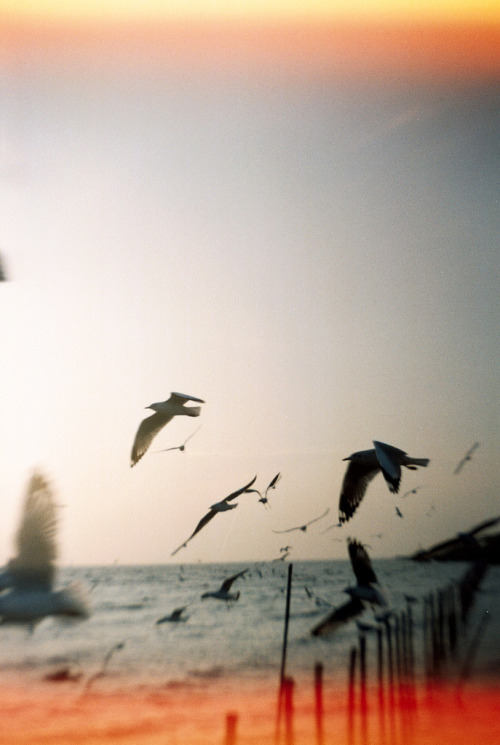 paranoid:  vintage photography ☯✝ 