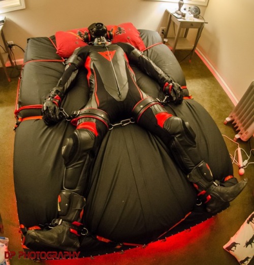 squeakpup:I bought some new leathers recently. Finally got to break them in thanks to the help of @divepup