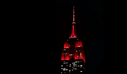 untilyoufoundme:  parkerkithill:tkyle:Empire State Building - Valentine’s Day 2015 “Heartbeat”this was the cutest thing to see.. no matter where you were in the city you could always see that pulse in the sky. i love new york  woooow