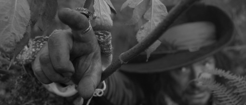 A Field in England  [ 2013 ] Dir:  Ben WheatleyDoP:  Laurie Rose