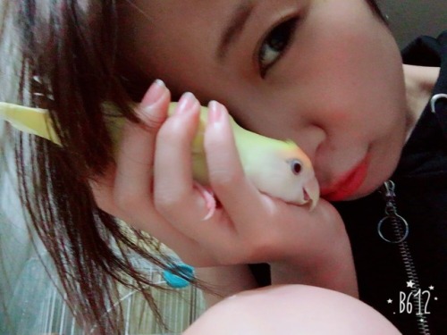 akanemachurida:  Twitter 17/08/18 It was the first time I’ve ever been a cameraman for a gravure shoot!📷 The magazine has some of my gravure in it, but this basically means that I’m no longer an idol gravure prospect for the future, but rather