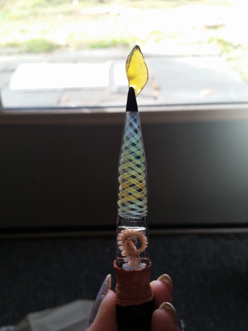 jonblowsglass: cummy-eyelids: Real octopus tentacle wet specimen dabber! A collab between my bf &am