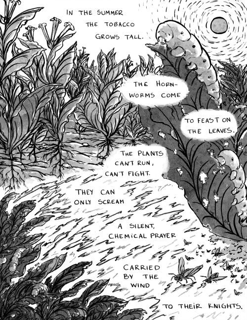 a comic about plants i made for Clorophilia