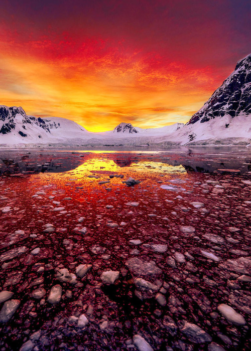 coiour-my-world:Antarctic Sunrise | Lemaire Channel, Antarctica || paulmp