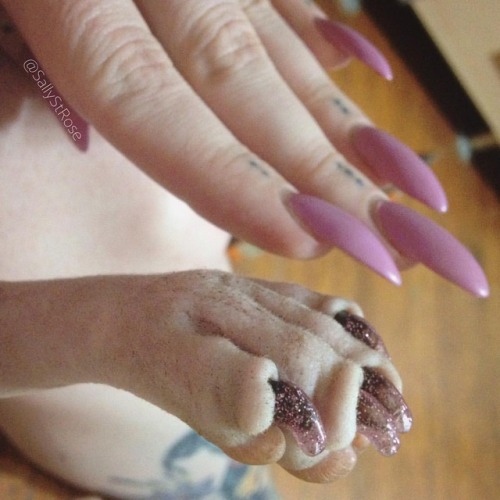 When you and your bff get matching manicures  . . . .#wrinklekingwednesday #jobie #sphynx #cat #adop