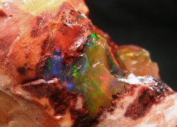 ifuckingloveminerals:  Opal  Guerrero, Mexico