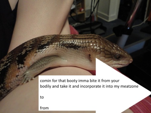 rate-my-reptile: saint-of-powder:  pep wish you happy valentino day and say to go to toe, and junk o